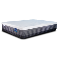 The Memory Plus